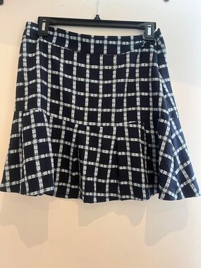 Blue Plaid Flared Skirt